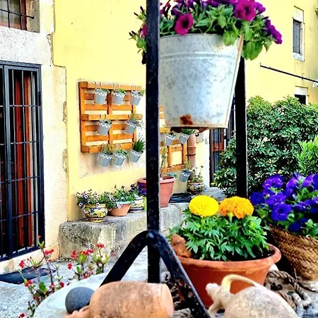 Bed & Breakfast Camemi - Antica Masseria *